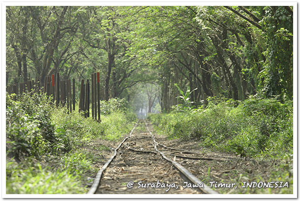 file.5 美しいもの