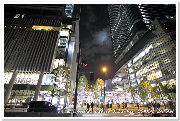 file.11 美しいもの