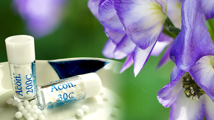 ほめられホメオパシー2